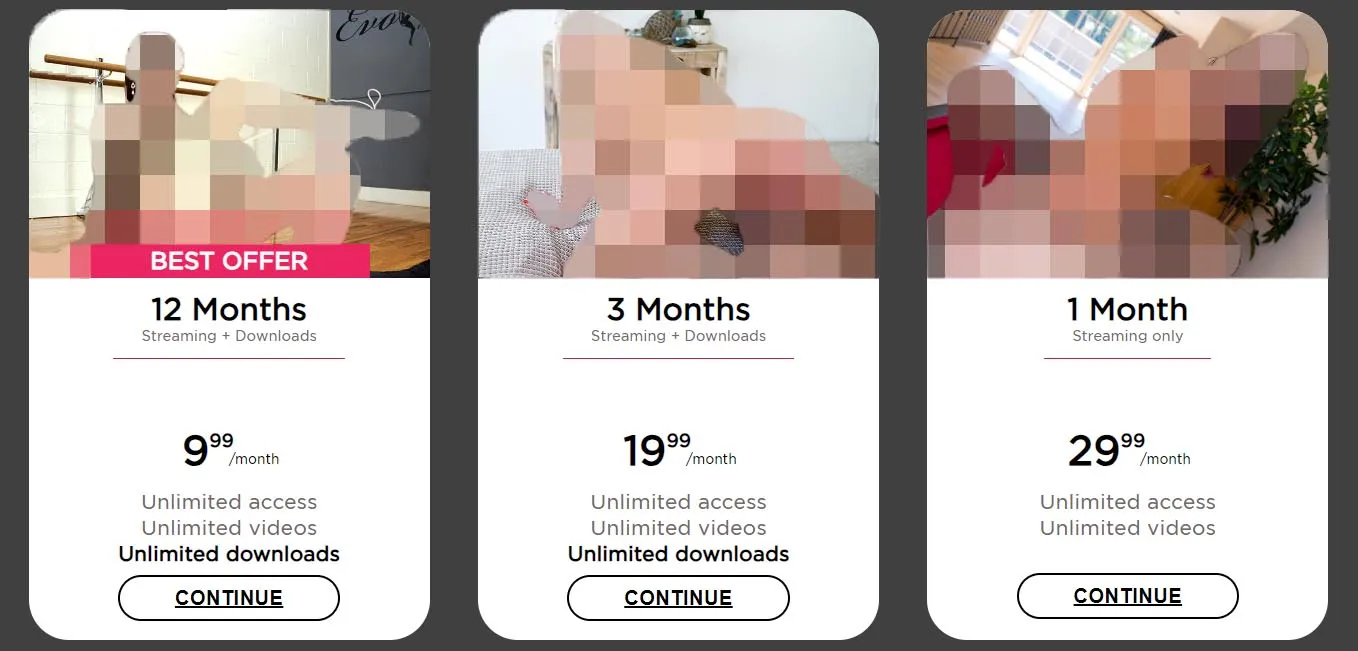 ts virtual lovers how expensive is it