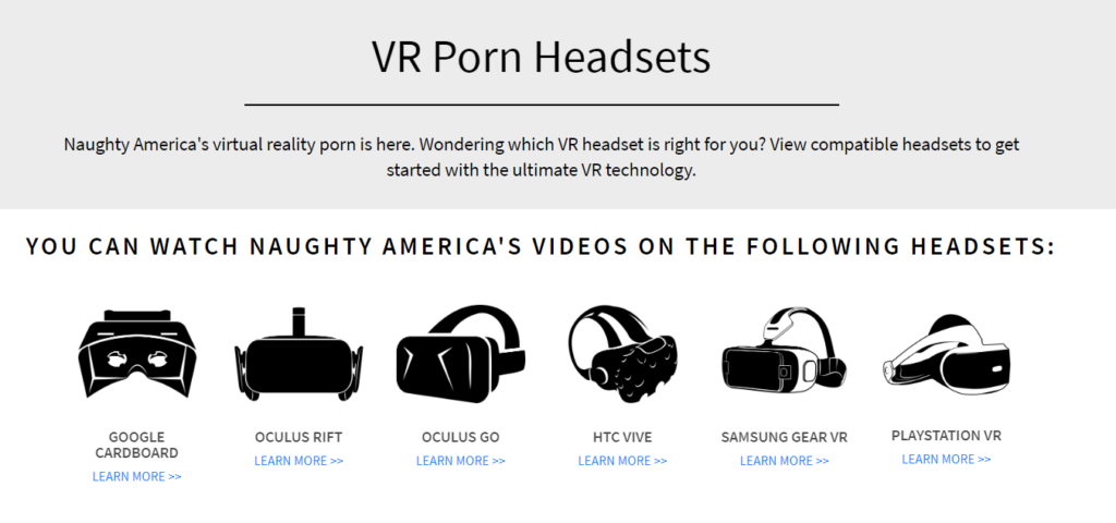 Naughty America VR headsets