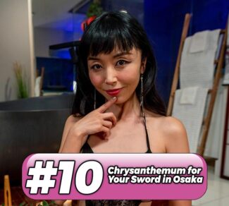 no10 best japanese videos vrpd